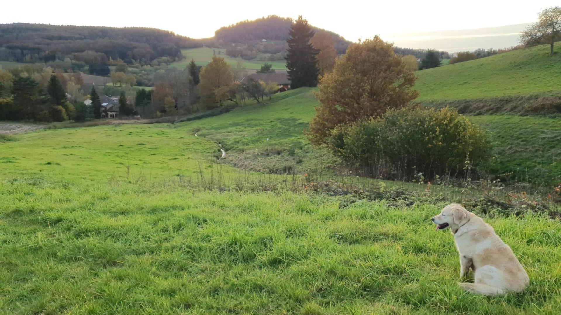 S'Yvoux Plait Apartman La Chapelle  Kültér fotó